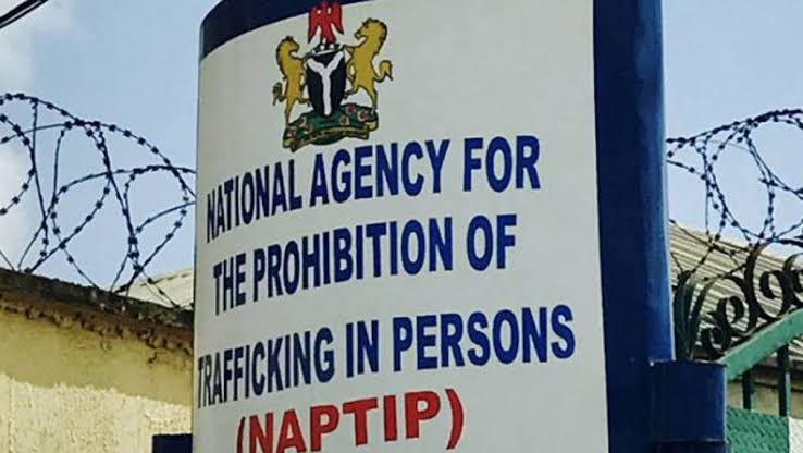 105 Victims Of Human Trafficking In Benin Rescued By Naptip Daily News 24 5896